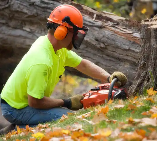 tree services Ubly